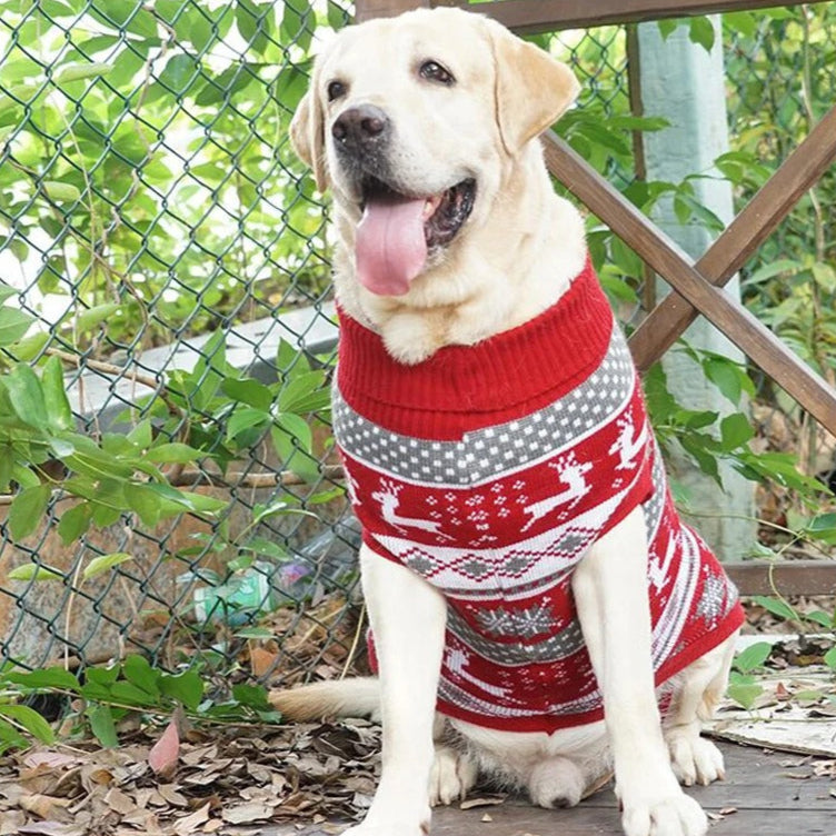 Dog Ugly Christmas Reindeer Sweater, Knitwear Clothes Warm Turtleneck Sweater, Ugly Christmas Sweater